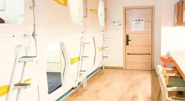 Женская капсула Phoenix Egg Youth Hostel