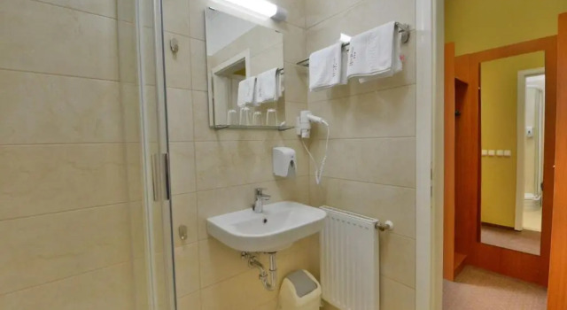 Трёхместный номер Standard Hotel Platan
