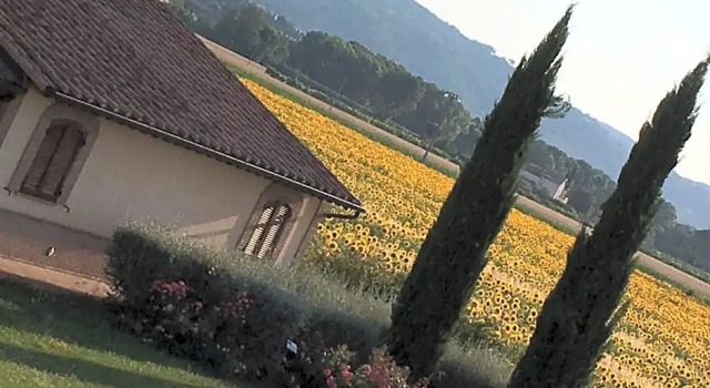 Номер Standard Agriturismo Le Rondini Di Francesco Di Assisi