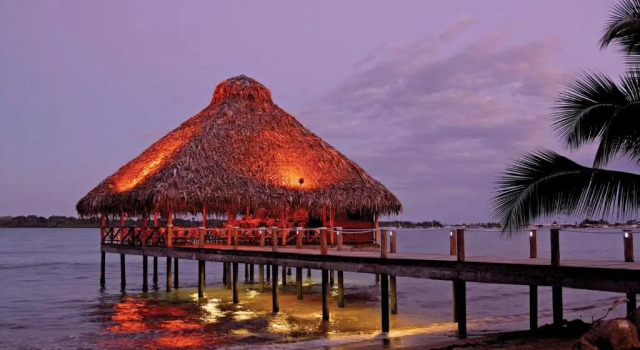 Четырёхместный номер Standard с видом на море Playa Tortuga Hotel Beach And Resort