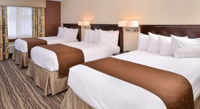 Шестиместный номер Standard Best Western Cottage Grove Inn