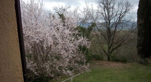 Апартаменты Agriturismo VILLA MOZART nel verde