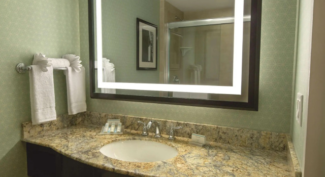 Двухместный полулюкс клубный With sofabed and in-room drinks and snacks Hilton Garden Inn Washington D.C./U.S. Capitol