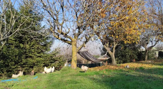 106 gradini, Buchen Sie Ferienwohnung Bottanuco Provinz Bergamo