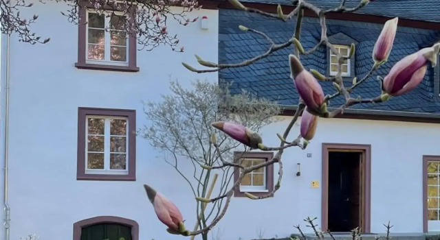 Ferienhaus Martinshof