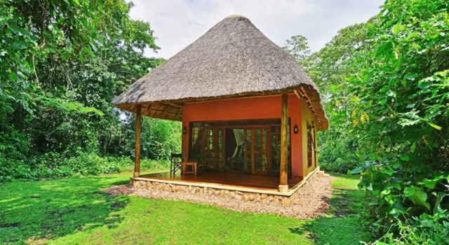 Коттедж Primate Lodge