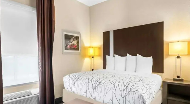 Люкс Standard Best Western Boerne Inn & Suites