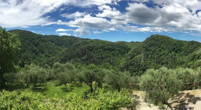 Caddelovi
