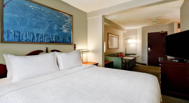 Номер Standard SpringHill Suites by Marriott Atlanta Buford/Mall of Georgia
