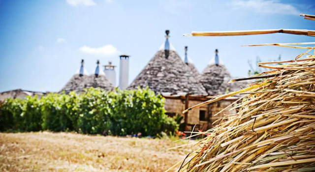 Вилла Trulli Il Castagno