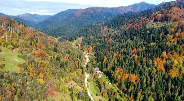 Góralskie Domki, Забронировать Отель Шавница Pieniny Mountains