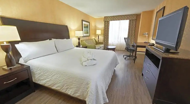 Номер Standard Revery Toronto Downtown, Curio Collection by Hilton