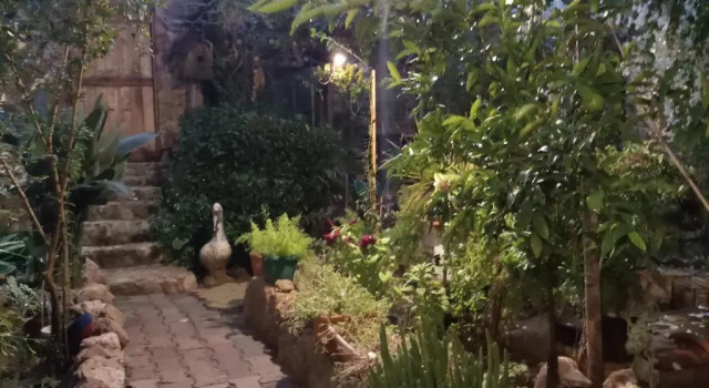 Номер Economy Mystery Garden Guest House