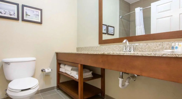 Люкс Comfort Suites Rochester Henrietta University Area