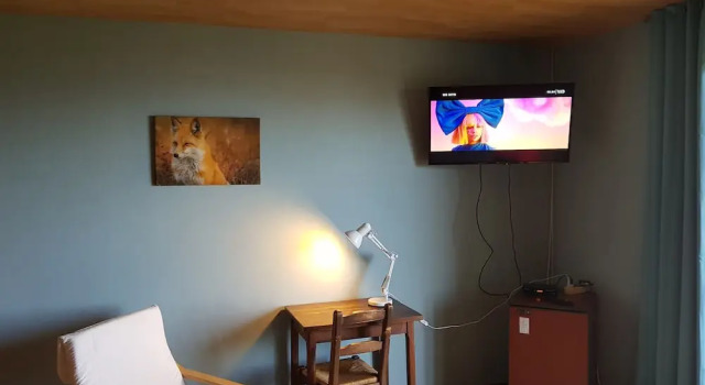 Одноместный номер Standard с балконом Hôtel Les Chamois