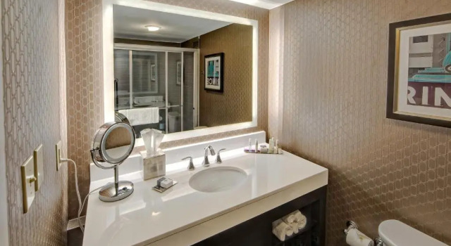 Standard Zimmer mit Flussblick DoubleTree by Hilton Decatur Riverfront