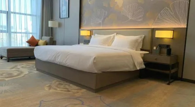 Люкс Premier Qingyang Champs Elysees Hotel