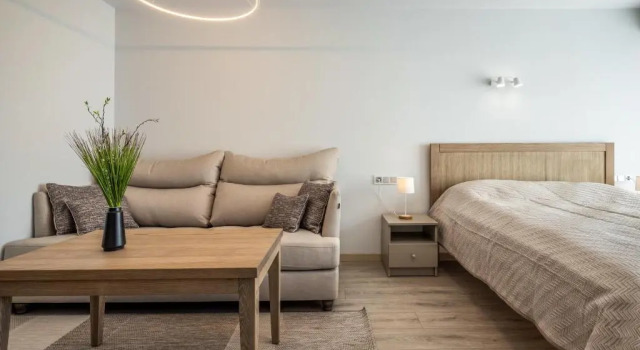 Студия Apartamentai Druskininkų 7B