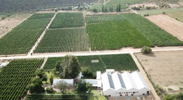 Двухместная студия Deluxe Vogelsang Farm Cottage