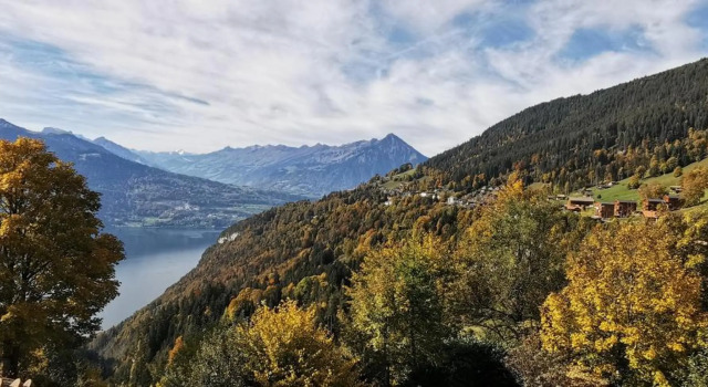 Ulas Holiday Apartments, Prenota Appartamento Beatenberg Interlaken