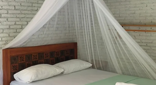 Двухместный номер Standard с видом на сад Jungle House - surf & stay