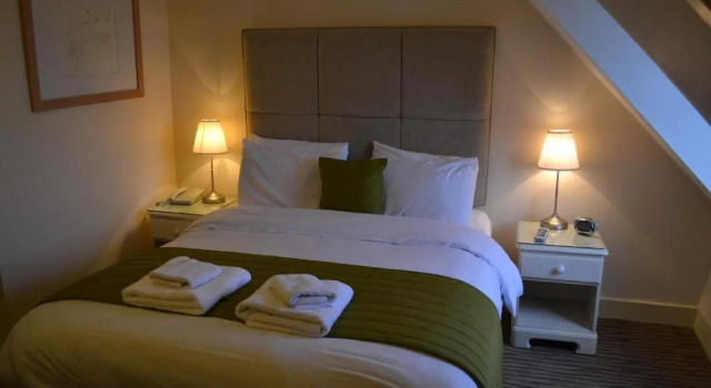 Двухместный номер Standard Swan Revived Hotel
