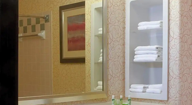 Номер Deluxe Holiday Inn Express Hotel and Suites Brownsville by IHG