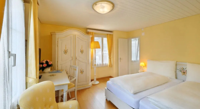 Двухместный номер Standard с видом на город Seehof Hotel Du Lac