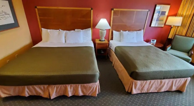Полулюкс Olympic View Inn