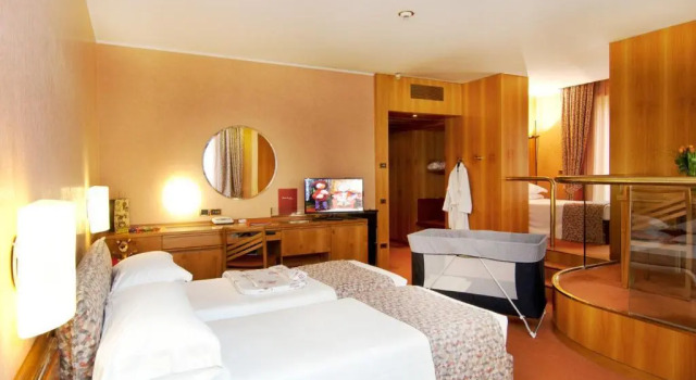 Полулюкс Michelangelo Hotel