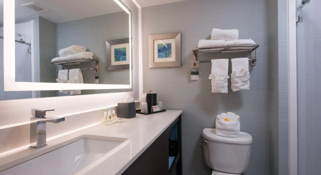 Номер Standard Holiday Inn - Belcamp - Aberdeen Area by IHG