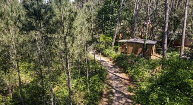 Люкс Deluxe Green Resort