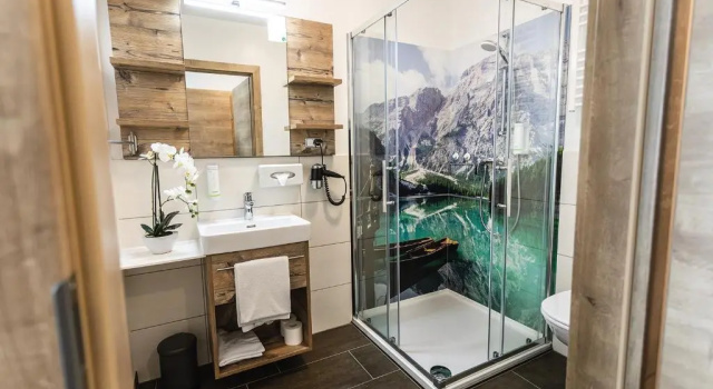 Номер Standard Wellness- und Familienhotel Garni Dachsteinresort