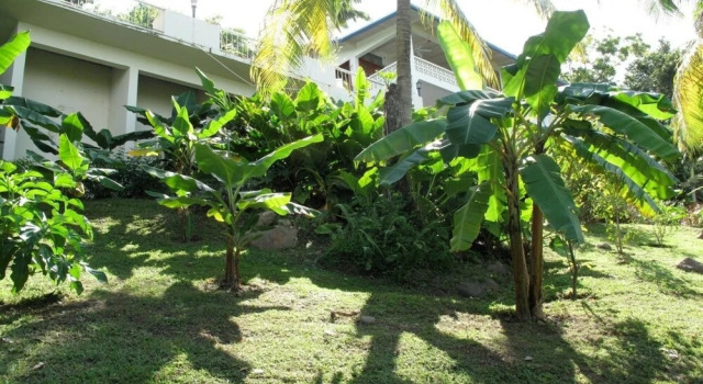 Sea Song Caribbean Villa