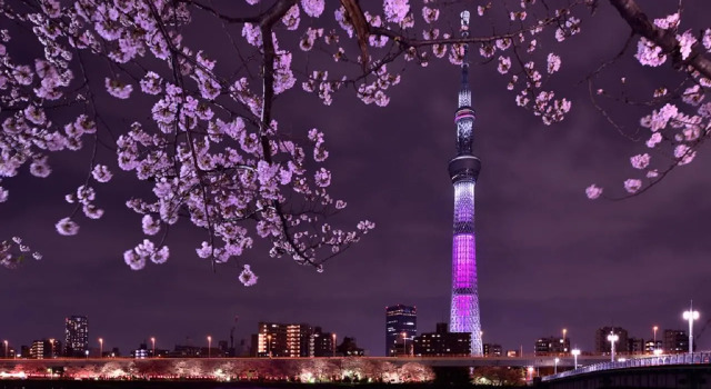 Номер Standard Rainbow Village Ueno
