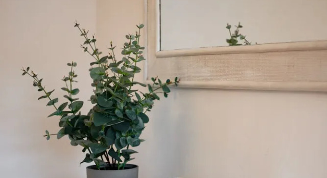 Апартаменты с 2 комнатами Apartment Terrace in the Heart of Lisbon