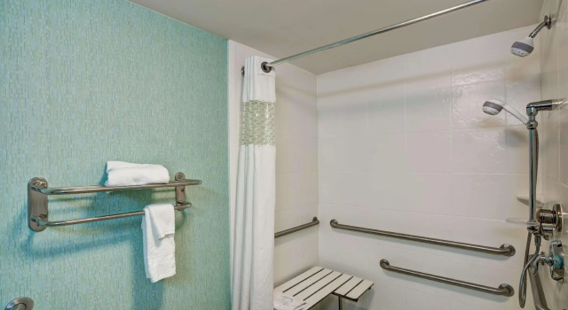 Двухместный люкс Hampton Inn & Suites Sarasota / Bradenton - Airport