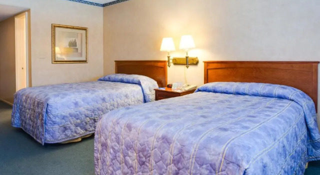 Четырёхместный номер Standard с видом на бассейн Saga Motor Hotel Pasadena