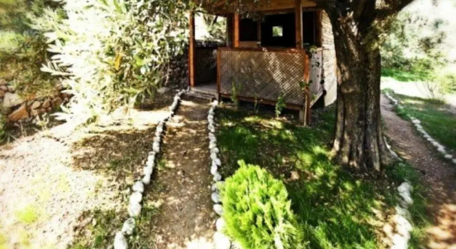 Shambala Lodge Hotel, Rezervovat Hotel Hotely v Kabak s bazénem, Bazén