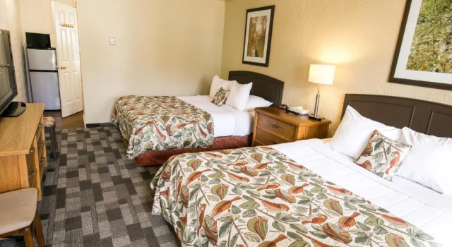 Четырёхместный номер Standard Crystal Springs Lodge