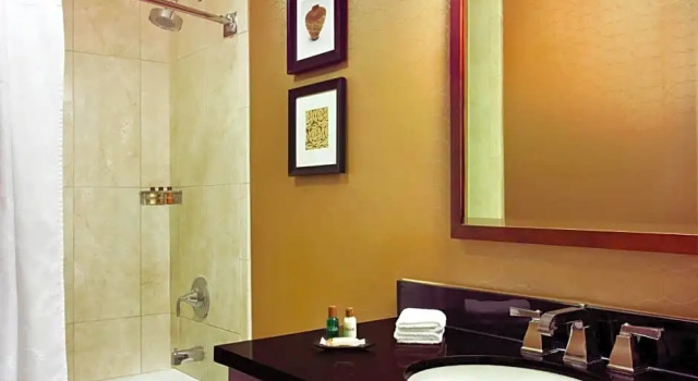 Номер Deluxe Sheraton Harrisburg Hershey Hotel