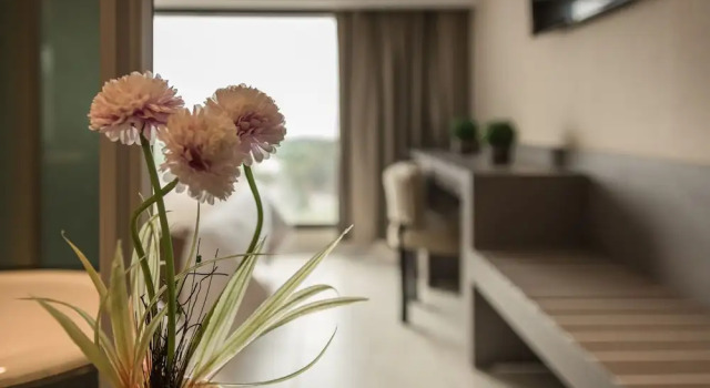 Номер Standard Eleton Resort & Spa