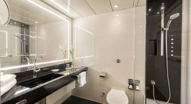 Семейный номер Superior Maritim Hotel Bonn