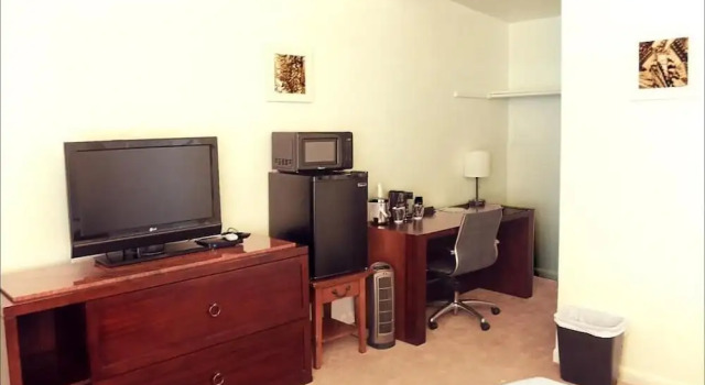 Одноместный номер Standard Antler Motel