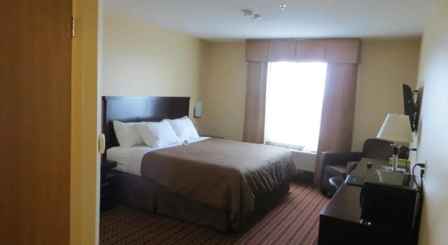 Standard Zimmer Poplar Tree Inn