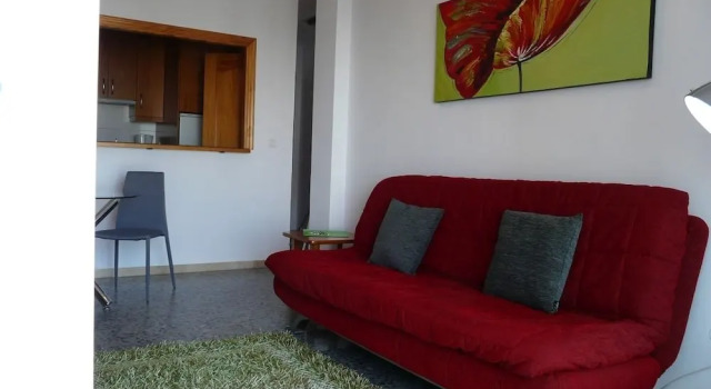 Apartment Delfín Torrecilla Beach