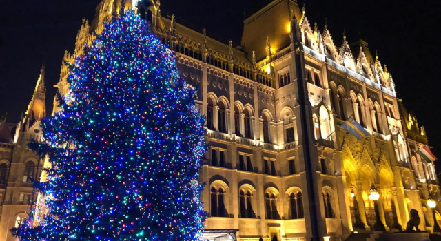 Anabelle Bed and Budapest, Забронировать Отель Бизнес-отели Будапешта, рядом с Castle Hill Funicular, 4* 5*