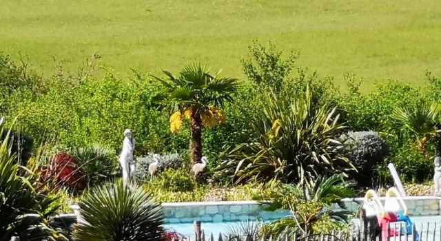 Номер Standard B&B chez EVA en Périgord