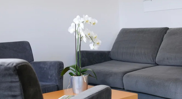 Номер Standard Hotel Archamps Porte Sud de Geneve
