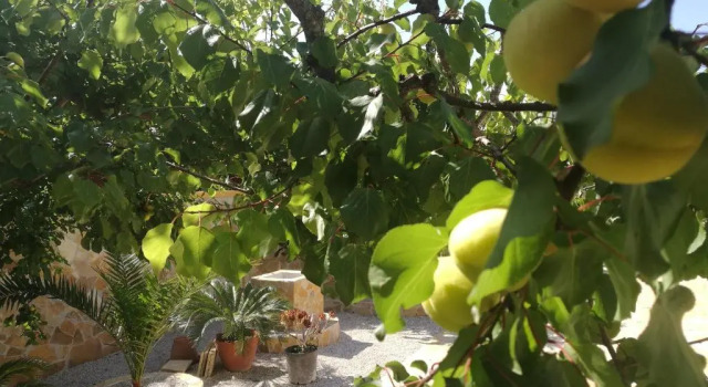 Коттедж Villa Malese